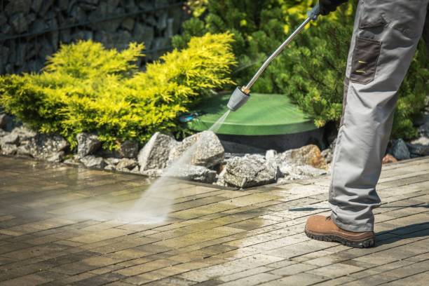 Best Pool Deck Cleaning  in Cypress Gardens, FL