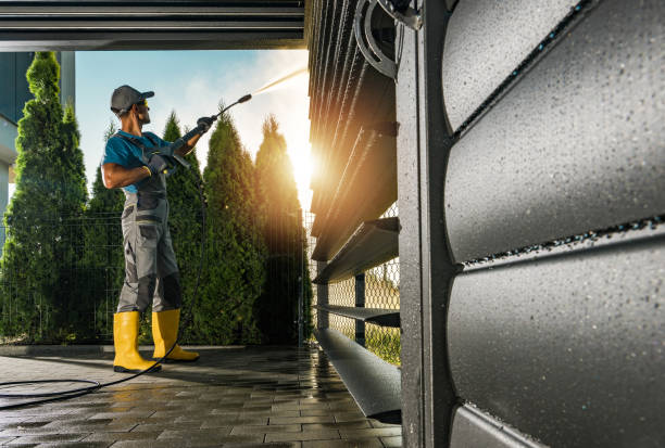Animal Enclosure Cleaning in Cypress Gardens, FL