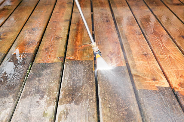 Best Animal Enclosure Cleaning  in Cypress Gardens, FL